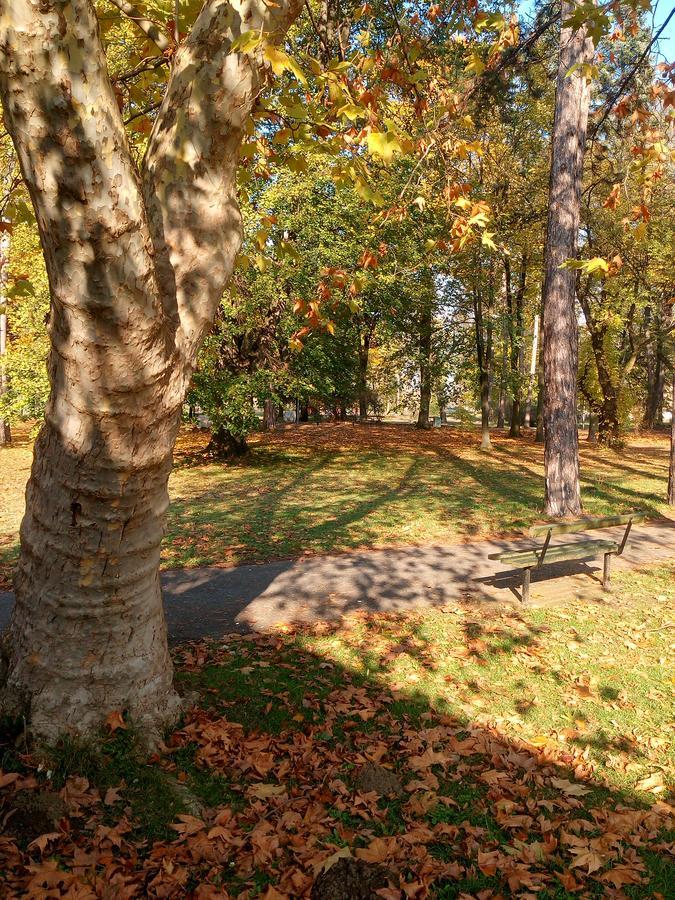S' Centro - Park Apartments Kraljevo Buitenkant foto